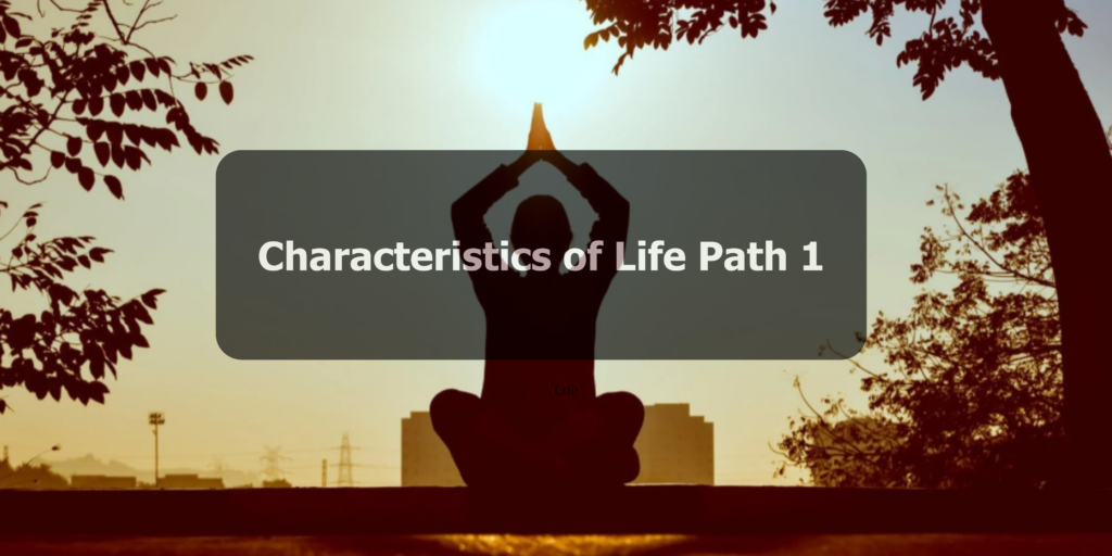 Characteristics of Life Path 1