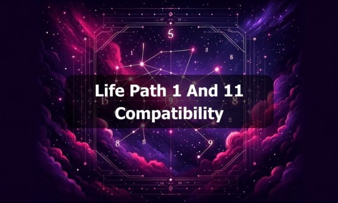 Life Path 1 And 11 Compatibility