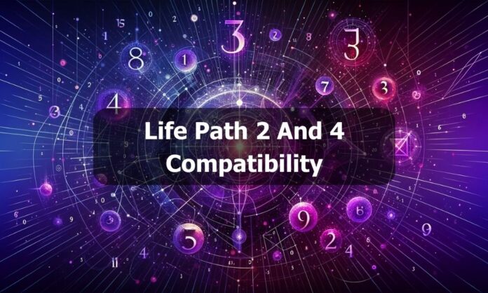 Life Path 2 And 4 Compatibility