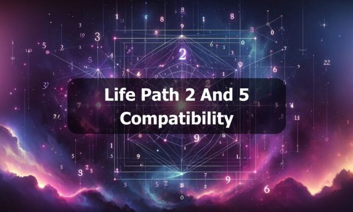 Life Path 2 And 5 Compatibility