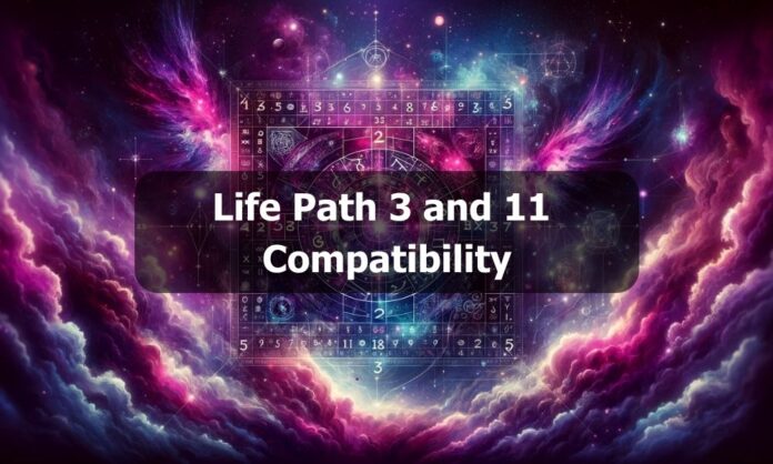 Life Path 3 and 11 Compatibility