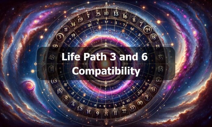 Life Path 3 and 6 Compatibility