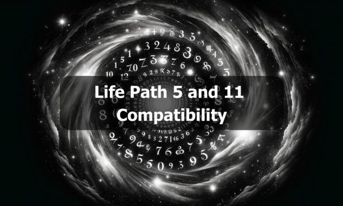 Life Path 5 and 11 Compatibility