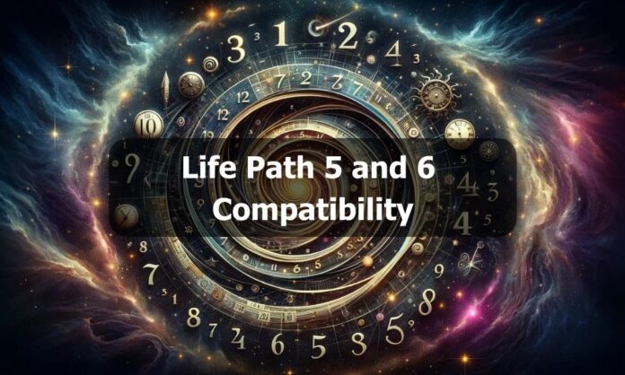 Life Path 5 and 6 Compatibility