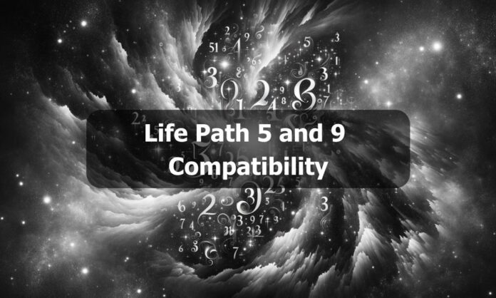 Life Path 5 and 9 Compatibility