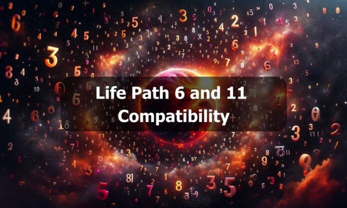Life Path 6 and 11 Compatibility