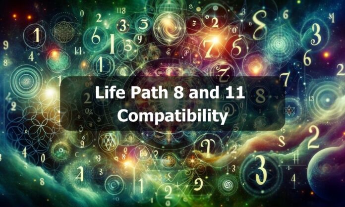 Life Path 8 and 11 Compatibility