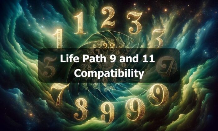Life Path 9 and 11 Compatibility