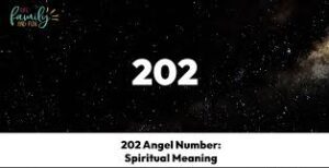Signs from the Universe Through Angel Number 202