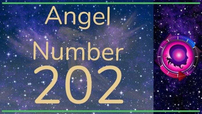 202 Angel Number - All You Need To Know