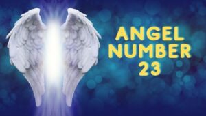 Signs from the Universe Through 23 Angel Number