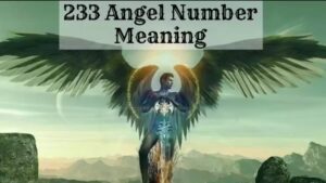 Meaning of Angel Number 233 in the Bible