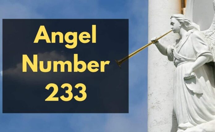 233 Angel Number - All You Need to Know