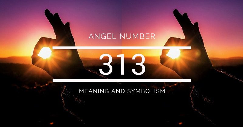 The Components and Symbolism of 313 Angel Number