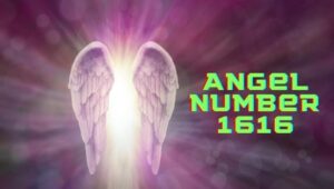 How Angel Number 1616 Guides Your Life Path