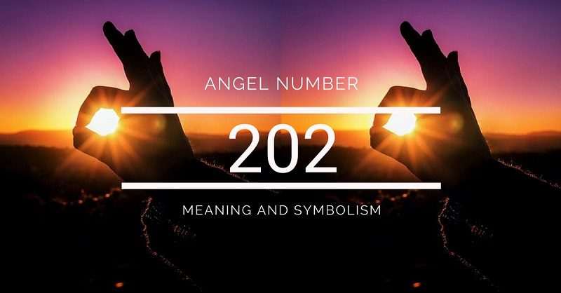 The Components and Symbolism of Angel Number 202