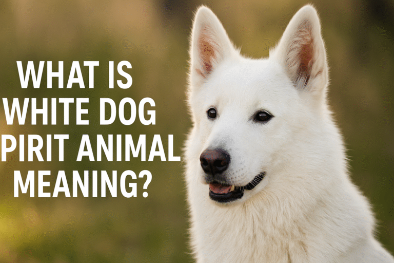 What is White Dog Spirit Animal Meaning?
